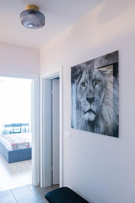 Tokiyo: A Lovely City Center 2 Bedrooms Apartment With Private Parking 소피아 외부 사진